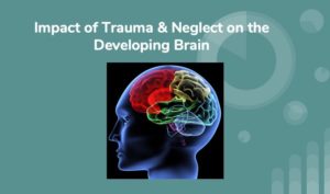 Course on How Trauma and Neglect Affect Children